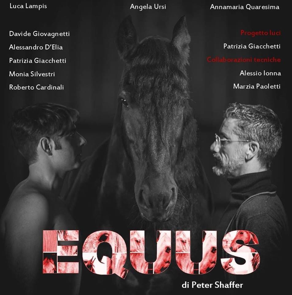 Equus Luca Lampis